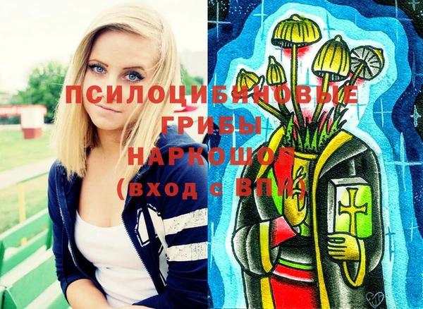 крисы Алексин