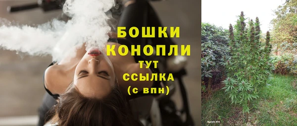 прущий лед Абаза