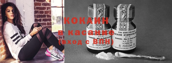 крисы Алексин