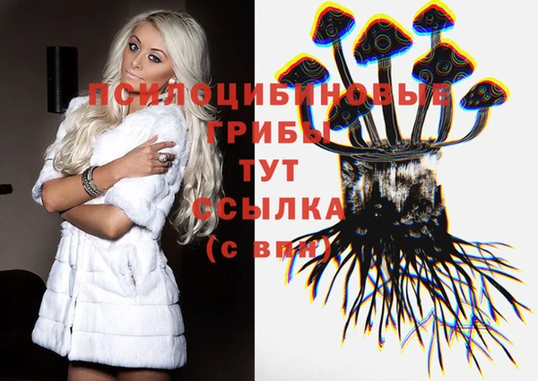 прущий лед Абаза