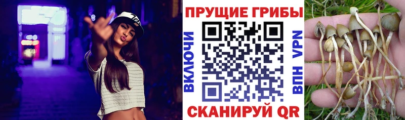 Псилоцибиновые грибы MAGIC MUSHROOMS  Калининград 